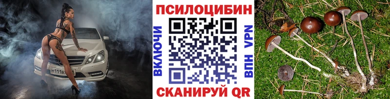 Купить  Бокситогорск  Галлюциногенные грибы Magic Shrooms 