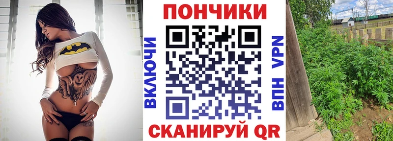 Каннабис сатива  Купить где  Бокситогорск 